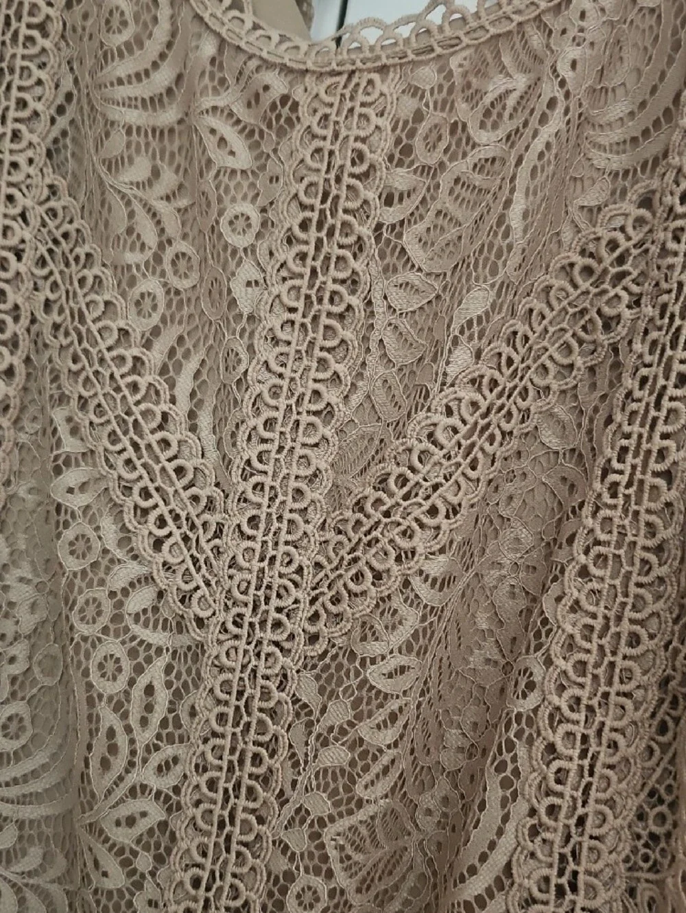 Cable & Gauge Beige Lace Sleeveless Camisole - Picture 2 of 6